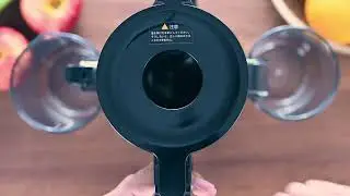 Fretta Cold Press Juicer Machines, Masticating Slow Electric Juicer
