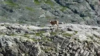 Gavarnie, Ordesa, Sarradets, Brèche de Roland, Plano de San Fertus, montage vidéo Pyrénées 2009