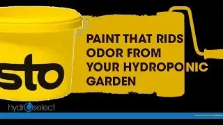 Sto Color Climasan - Paint That Rids Odor From Hydroponic Gardens