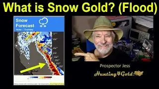 Where is Snow Gold found?  (Floods & Placer Gold Prospecting)