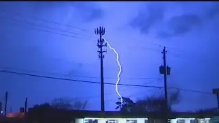 How does lightning affect your plants?