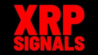 XRP: Investor Behavior Is DIFFERENT Than The 2018 Crypto CRASH, Report Shows