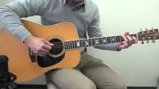 Martin D 41 1973年