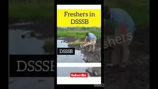 DSSSB preparation fresher #dsssbvacancy2023 #notification #vaccancy #shorts #viral #ctet