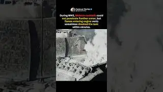 Why Panthers Feared Molotov Cocktails