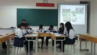 MR. T&Ugrave;NG VLOG - ENGLISH 12 - PROJECT - UNIT 5: CULTURAL IDENTITY - 12D7 (2023 - 2024)
