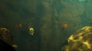 Subside koi level