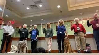 New therapy dogs sworn in at DeKalb County Courthouse