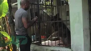 Chris Wolf Rescuing an Aggressive.