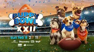 All The Warner Bros. Discovery Puppy Bowl 2026 (2/8/26) (Network Premiere)