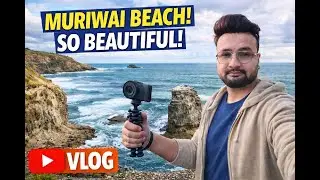 Muriwai Beach Camping & Sunset | New Zealand's beautiful West Coast beach