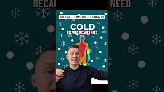 Thermoregulation explained in under 90 seconds! #gcse #gcserevision #gcsebiology #biologyrevision
