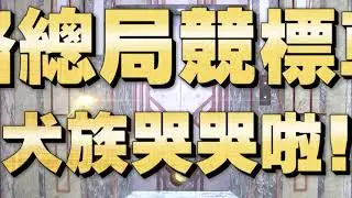 《全民星攻略》公路總局競標車牌 犬族哭哭啦！