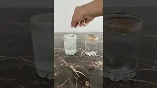 amazing eno experiment #shorts