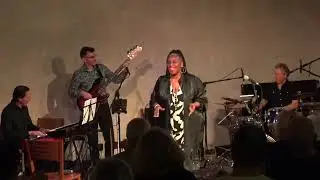 Fool on the Hill - Small Kingdom on Tour #blues #rock#livemusic#smallkingdom#andywinter
