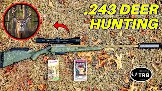 Полный обзор и охота на винтовку Ruger American Gen 2 калибра .243 (DEER DOWN)