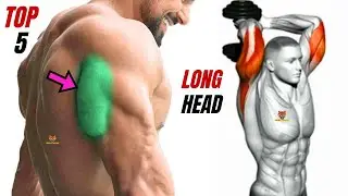 TOP 5 LONG HEAD TRICEPS WORKOUT AT GYM