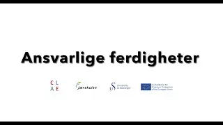 Ansvarlige ferdigheter