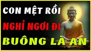 Nghe Ngay Trước Khi Quá Muộn: Lời Phật Dạy Xóa Sạch Ưu Phiền, Đón Nhận Vận Mệnh Mới