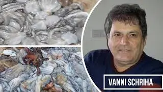 56th video. A dive with 'nannu Vanni' :)
