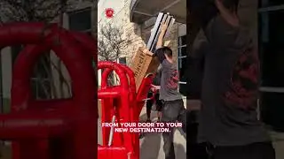 Your Stress Free Movers