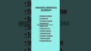 Parasitic protozoa examples||Protozoa examples animals||What are10 examples of Protozoa#new#parasite