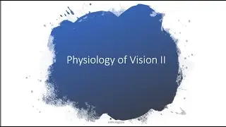 Physiology of Vision - 2