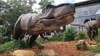 Zoo Melaka ( Dinosour Park)