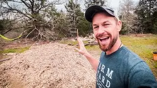 How to get FREE Wood Chips for your Back To Eden Garden