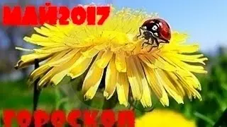 Гороскоп на май 2017 ДЛЯ ВСЕХ ЗНАКОВ ЗОДИАКА.Everyday witch tarot
