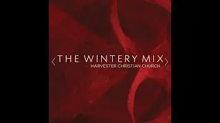 THE WINTERY MIX ft Steve Reischl