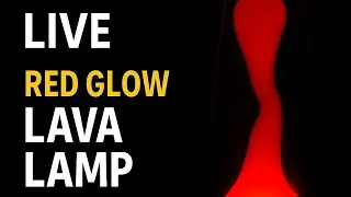 LIVE &ndash; Deep Red Lava Lamp for Relaxing Sleep, Night Light & Calm Focus | #Relax UHD