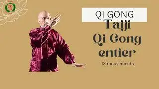 QI GONG 18 TAIJI QI GONG par Philippe Aspe #qigong #taichiforhealth #qigongmaster #shibashi