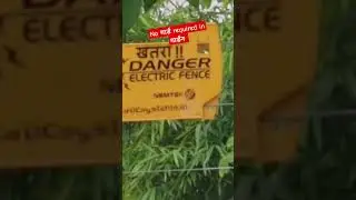 electric fence #denger #electrical #fence #viralvideo #youtubeshorts #shorts