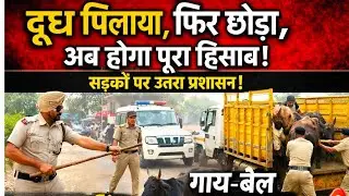 दुध लिया छोड़ दिया अब होगा हिसाब किताब अब नही चलेगी आवारागर्दी, सड़कों पर आयी प्रशासन की दबंग एंट्री