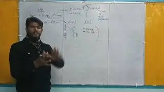 Core of Light | Reflection, Lateral Inversion | Converging & Diverging Mirrors | Physics