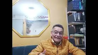 Animo