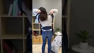 How to Put on the Omni Dream