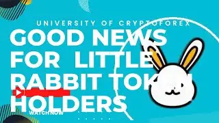 Good News For Little Rabbit Token Holders