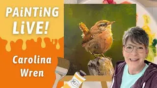 Easy Carolina Wren Acrylic painting Beginner to Advanced LiVE! In Studio Hangout with Annie Troe