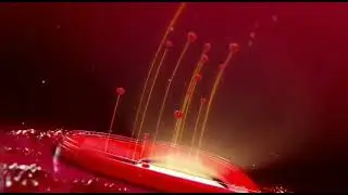 Love Status #status #whatsappstatus #valentinesday #shortvideo#viral #ytshorts #viral #shorts