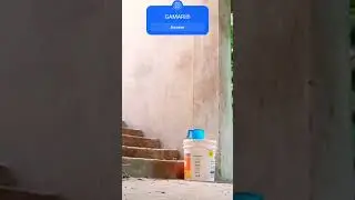 @gamari Enterprise Private Limited company vlogs