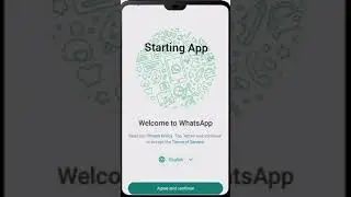 WhatsApp backup restore | WhatsApp Deleted Data