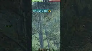 wot 1 shot with a blind shot