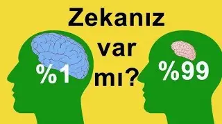 Hertelden videolar  kanalı canlı yayında