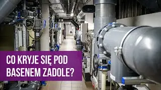 Jak wygląda podbasenie? Zaglądamy do zakamarków Basenu Zadole w Katowicach