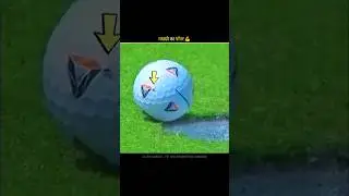 Power Of Fly 😱 | Factoz Mine | Fact Video | #shorts #viral #facts #fly #assamtezpur