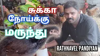 கோழிகளுக்கு #சுக்கா நோய்க்கு இயற்கை மருத்துவம் in Tamil Rathnavel Pandiyan