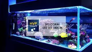How to connect the SPS Coral Led Set 180cm? (ENGLISH)