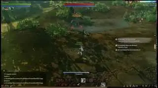 ArcheAge Playwright Combat